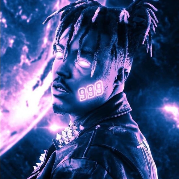 Meet your Posher, Brady - Picture 1 of 1